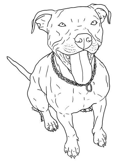 drawn pitbull transparent     puppy coloring pages dog