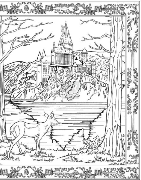 harry potter official coloring book  pages previews