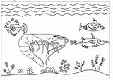 Shrimp Coloring Pages Swimming Fishes Cool Cute Kids sketch template