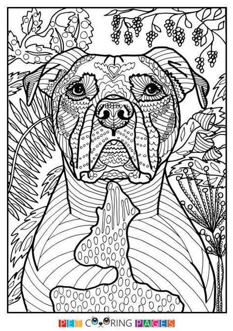 coloriage  dog coloring book dog coloring page coloring pages  print