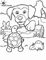 Kolorowanki Fargelegging Kolorowanka Piesek Animali Psy Turtle Justcolor Fargelegg Chiens Tegninger Nggallery sketch template