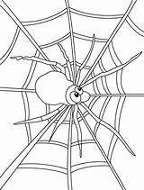 Spider Coloring Web Pages sketch template