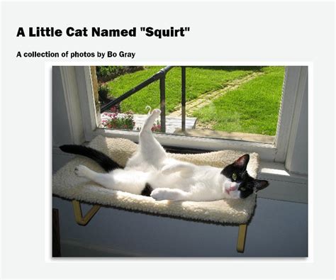 A Little Cat Named Squirt By Bo Gray Blurb Books