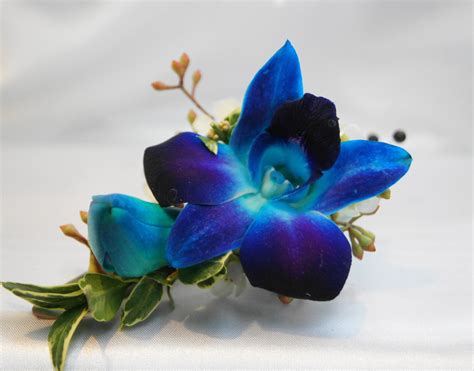 Blue Orchid Boutonniere Soderberg S Floral And T