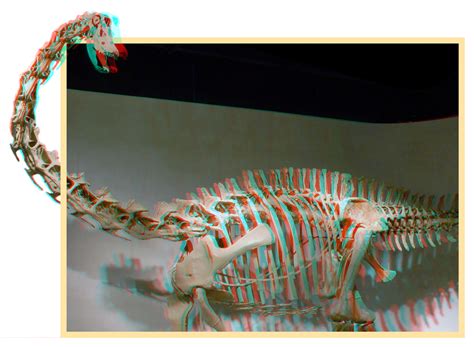 anaglyph  images digital  stereo   books