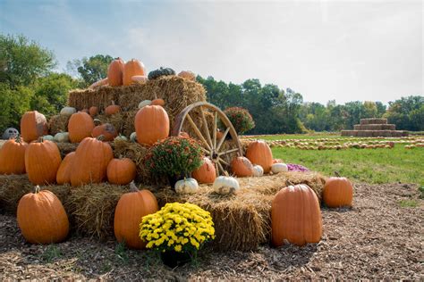 fall harvest display  pumpkins  hay   farm windermerenorth