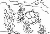 Coloring Sea Pages Turtle Turtles Kids Printable sketch template