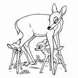 Coloring Bambi Deer Pages Last Books sketch template