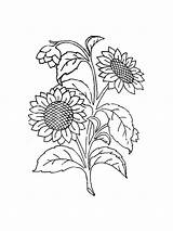 Sunflowers Tremendous sketch template