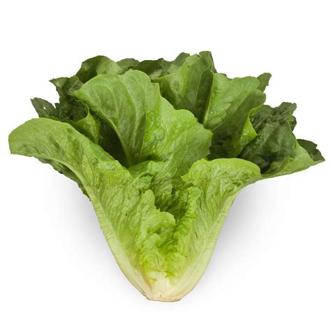romaine lettuce facts health benefits nutritional