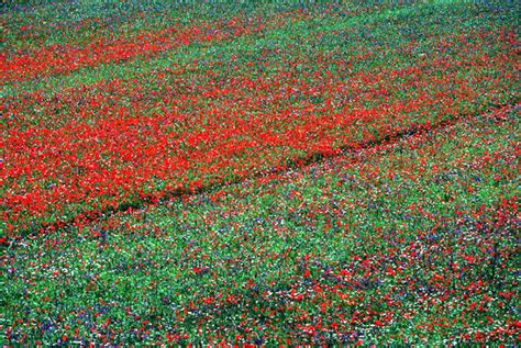 The Sibillini Hills I Monti Sibillini Umbria Marche Italy