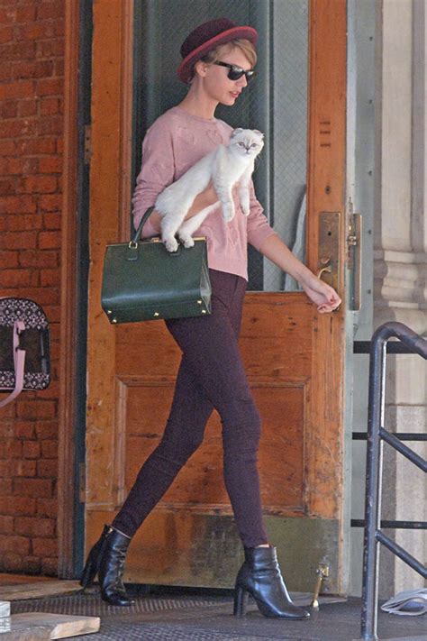 Taylor Swift Started A Cat Accessory Trend Photos Of