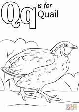 Coloring Letter Quail Pages Alphabet Printable Preschool Color Sheets Queen Letters Worksheets Words Drawing Supercoloring Book Kindergarten Super Getcolorings Kids sketch template