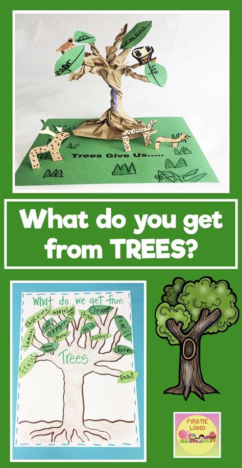 learning  trees firstieland  grade teacher blog