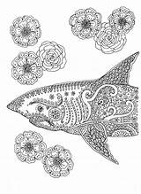 Coloring Shark Pages Adult Colouring Printable Instant Adults Etsy Sea Advanced Sharks Detailed Beach Mandala Color Coloriage Zentangle Artist Book sketch template