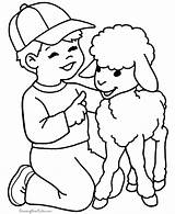 Coloring Lamb Pages Farm Printable Sheep Boy Baby Sheets Kids Color Animal Colouring Animals Cute Print Popular Drawing Lambs Coloringhome sketch template