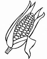 Coloring Corn Pages Drawing Printable Cornstalk Getdrawings Stalk Vegetable sketch template