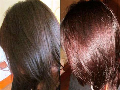 Хна и басма пропорции и цвет фото окрашивания волос как получить