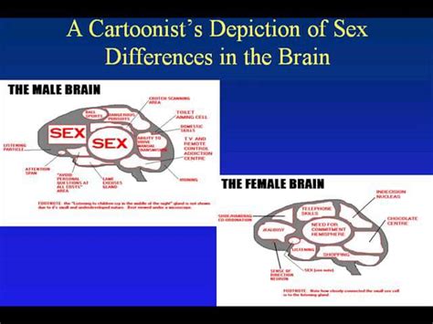 Sex Differences In The Brain Liisa Galea University Of