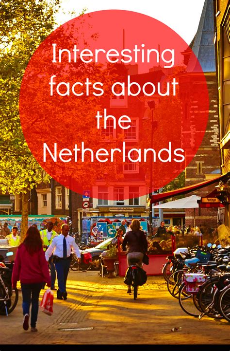 75 fun facts about the netherlands you need to know nederland leuke