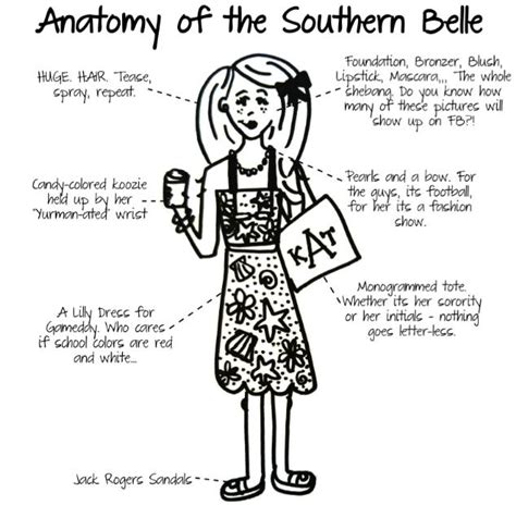 cute southern belle quotes quotesgram