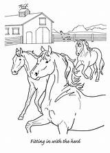 Foal Herd Fitting Breyerhorses sketch template