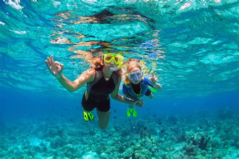 snorkeling  point  rocks tropical breeze resort