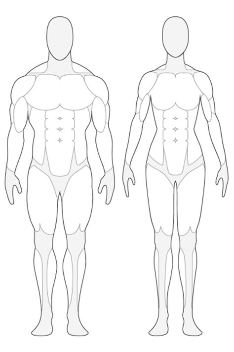 free medical body cliparts download free clip art free