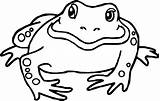 Bullfrog Pages Frog Amphibian Familyfriendlywork sketch template