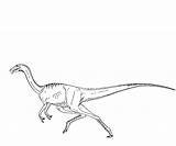 Coloriage Dinosaure Dilophosaurus Colorier Imprimé sketch template