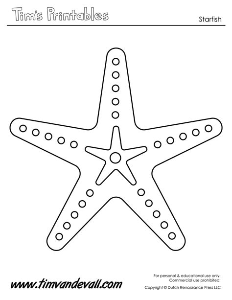 starfish template sea star templates  preschool art