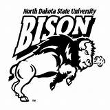 Bison Ndsu Logo Football Coloring Pages Clipart Carson Wentz Logos North Dakota State Cliparts University Log Library sketch template