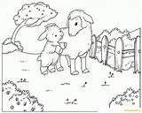 Sheep Lamb Coloring Pages Goats Spring Colouring Color Printable Nature Animals Template sketch template