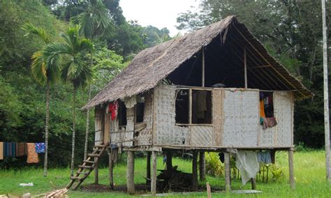 Tribal Living In Papua New Guinea Wanderlust