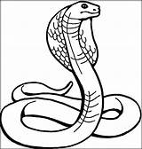 Snake Dangerous Naja Coloringbay Dysgraphia Realistic sketch template