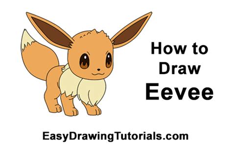 How To Draw Eevee From Pokemon