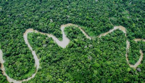 peru  germany   accords  protect amazon rainforest