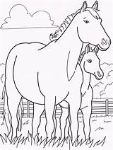 Coloring Babies Pages Animals Their Animal Horse Colouring Baby Coloringpagesfortoddlers Horses Farm Color Parents Print sketch template