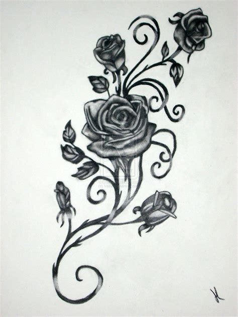 roses with vines drawing rose vine drawing black rose vine tattoos