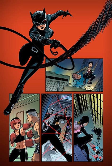 147 Best Images About Dc Catwoman On Pinterest