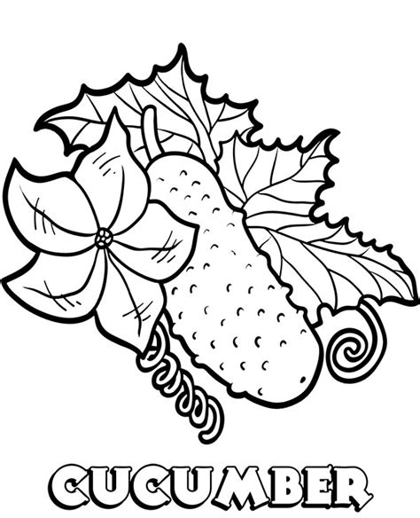 cucumber coloring page   topcoloringpagesnet