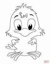 Coloring Chick Baby Pages Getdrawings sketch template