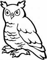 Owl Coloring Pages Animals Eared Long sketch template