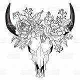 Flower Skull Drawing Bison Longhorn Drawings Paintingvalley Getdrawings sketch template