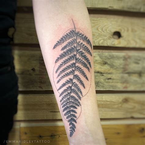top    fern plant tattoo latest incdgdbentre