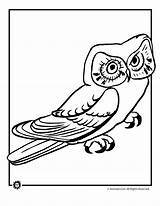 Owl Coloring Barn Pages sketch template