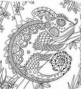 Lizard Mandalas Lizards Kameleon Kleurplaten Camaleonte Ranas Frogs Chameleon sketch template