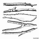Driftwood Getdrawings sketch template