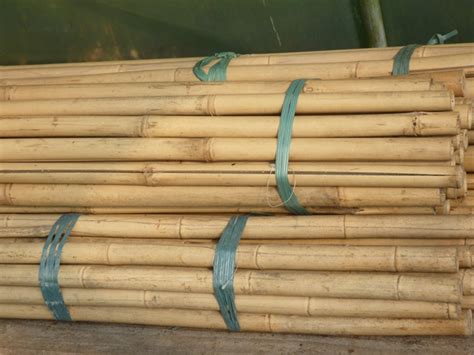 dunne bamboestokken  diverse diktes en lengtes duurzaam
