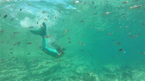 woman swimming underwater in slow motion swimming towards camera by coral reef in ocean in